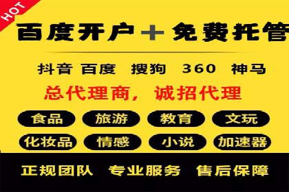 案例研究：百度推广托管助力电商品牌快速崛起